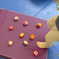動画サムネイル